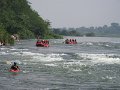 684 672 IMG_2831